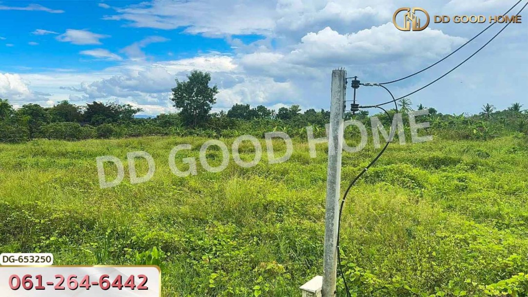 ที่ดินเมืองลำพูน 4 ไร่ 392 ตร.ว. ใกล้วิทยาลัยเทคโนโลยีหมู่บ้านครูภาคเหนือ-6