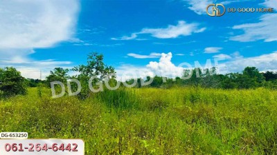 ที่ดินเมืองลำพูน 4 ไร่ 392 ตร.ว. ใกล้วิทยาลัยเทคโนโลยีหมู่บ้านครูภาคเหนือ