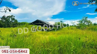 ที่ดินเมืองลำพูน 4 ไร่ 392 ตร.ว. ใกล้วิทยาลัยเทคโนโลยีหมู่บ้านครูภาคเหนือ