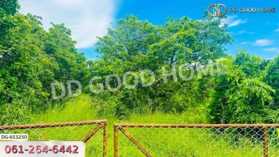 ที่ดินเมืองลำพูน 4 ไร่ 392 ตร.ว. ใกล้วิทยาลัยเทคโนโลยีหมู่บ้านครูภาคเหนือ