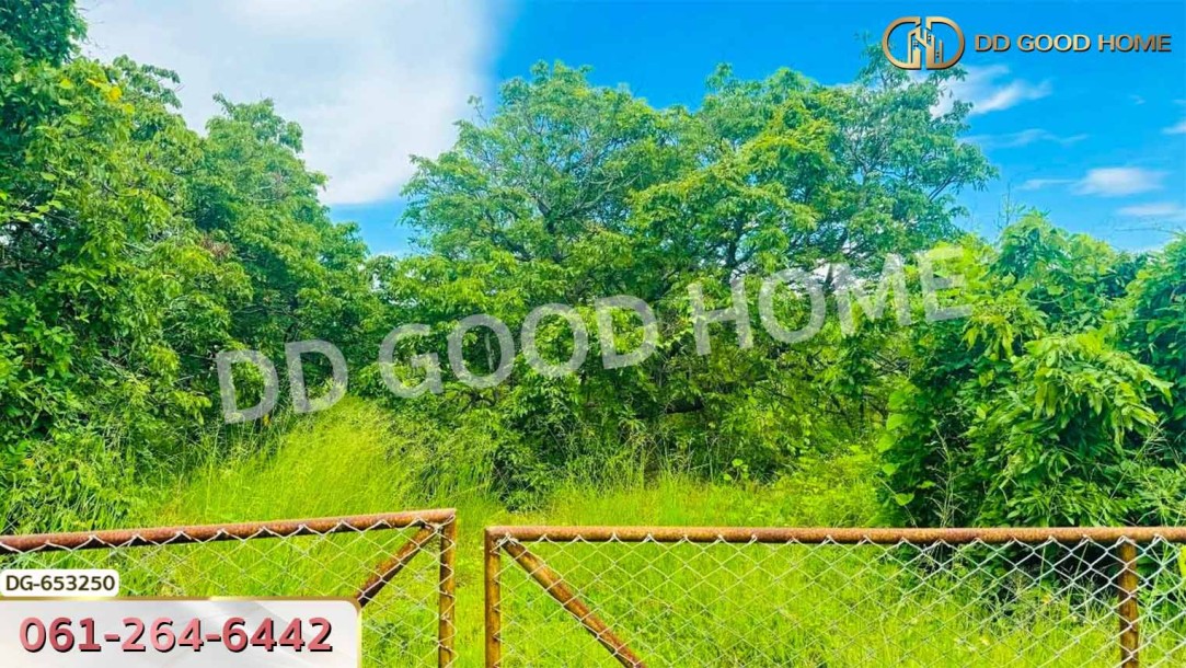 ที่ดินเมืองลำพูน 4 ไร่ 392 ตร.ว. ใกล้วิทยาลัยเทคโนโลยีหมู่บ้านครูภาคเหนือ-2