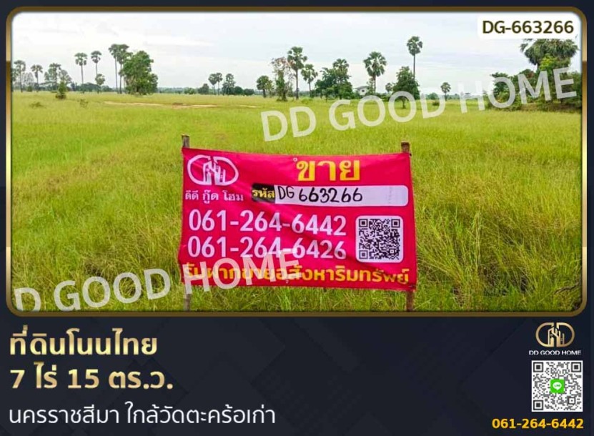 ที่ดินโนนไทย 7 ไร่ 15 ตร.ว. นครราชสีมา ใกล้วัดตะคร้อเก่า-1