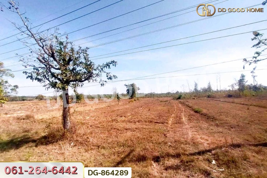 ที่ดินพรรณานิคม 14 ไร่ 196 ตร.ว. สกลนคร ใกล้วัดป่าแสนสุข-5
