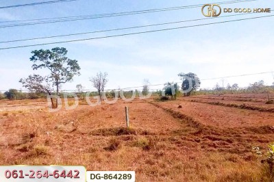 ที่ดินพรรณานิคม 14 ไร่ 196 ตร.ว. สกลนคร ใกล้วัดป่าแสนสุข-4