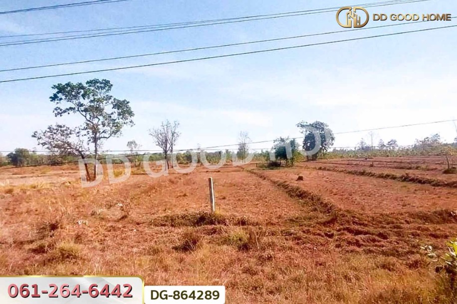 ที่ดินพรรณานิคม 14 ไร่ 196 ตร.ว. สกลนคร ใกล้วัดป่าแสนสุข-4