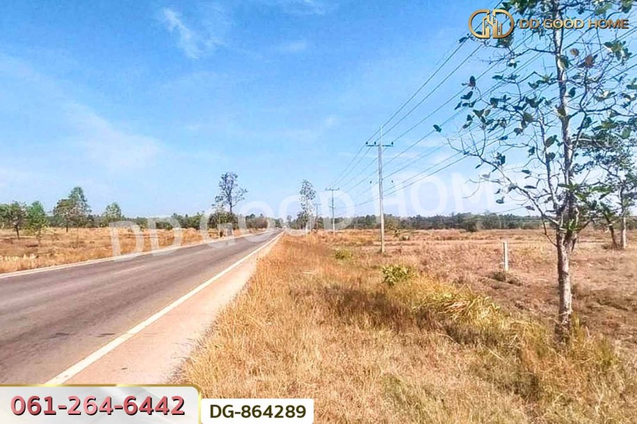 ที่ดินพรรณานิคม 14 ไร่ 196 ตร.ว. สกลนคร ใกล้วัดป่าแสนสุข-3