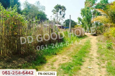 ที่ดินจอมบึง 3 ไร่ 25 ตร.ว. ราชบุรี ใกล้องค์การบริหารส่วนตำบลรางบัว-6