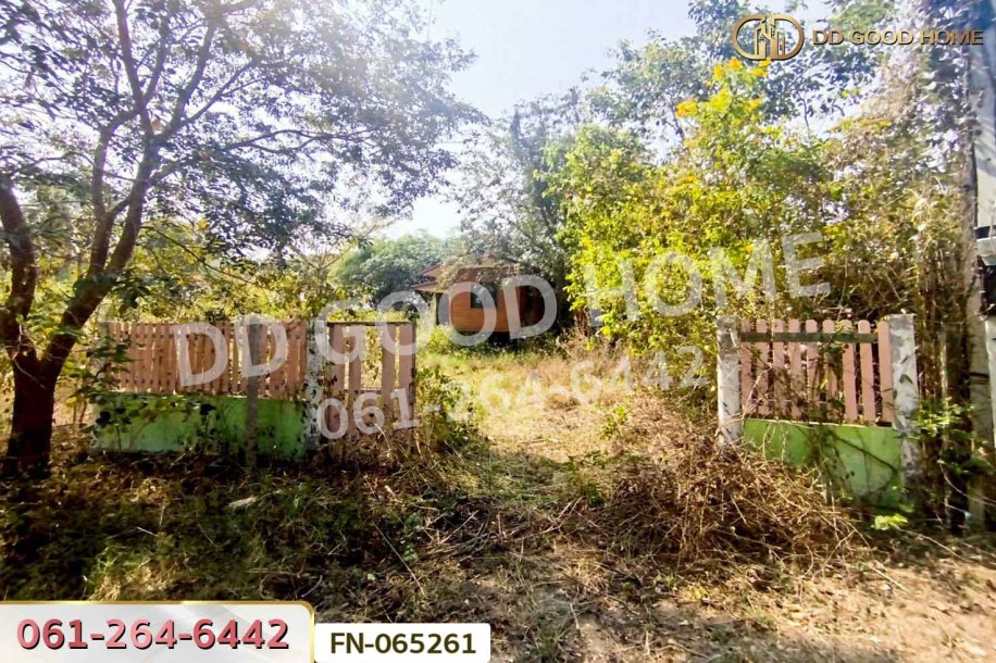 ที่ดินจอมบึง 3 ไร่ 25 ตร.ว. ราชบุรี ใกล้องค์การบริหารส่วนตำบลรางบัว-4