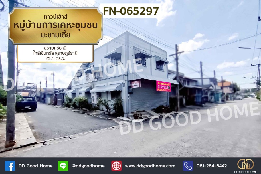 ทาวน์เฮ้าส์ หมู่บ้านการเคหะชุมชน มะขามเตี้ย สุราษฎร์ธานี ใกล้เซ็นทรัล สุราษฎร์ธานี-1