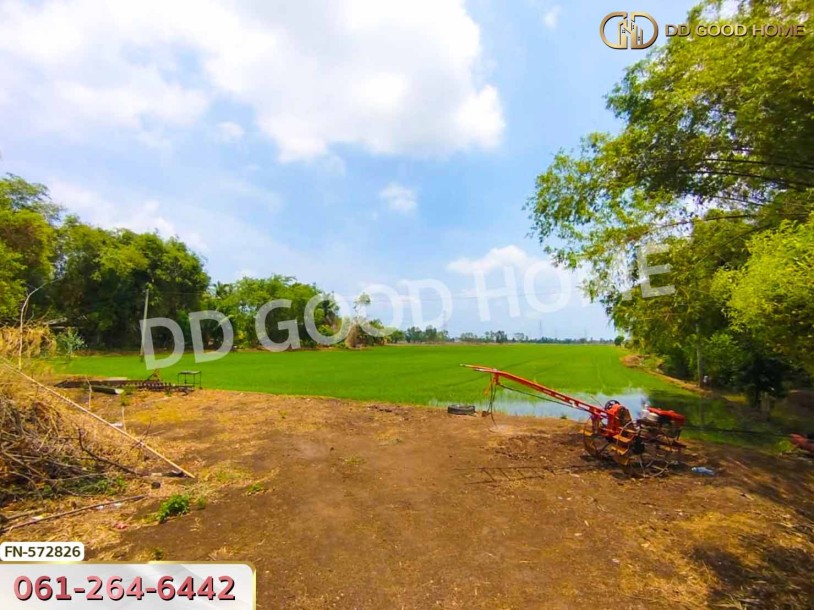 ที่ดิน อ.บางไทร 35 ไร่ 308 ตร.ว. อยุธยา-5