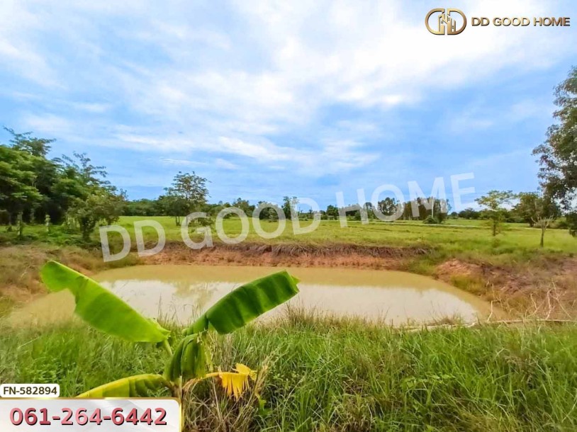 ที่ดินดอนเจดีย์ 1 ไร่ 352 ตร.ว. สุพรรณบุรี ใกล้วัดดอนเจดีย์-6