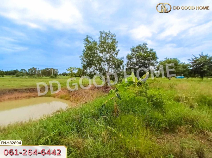 ที่ดินดอนเจดีย์ 1 ไร่ 352 ตร.ว. สุพรรณบุรี ใกล้วัดดอนเจดีย์-5