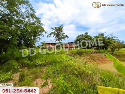 ที่ดินดอนเจดีย์ 1 ไร่ 352 ตร.ว. สุพรรณบุรี ใกล้วัดดอนเจดีย์-4