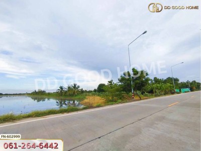 ที่ดิน อ.ไทรน้อย 4 ไร่ 200 ตร.ว. นนทบุรี-3