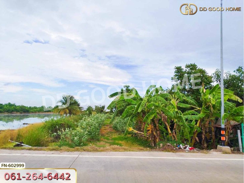 ที่ดิน อ.ไทรน้อย 4 ไร่ 200 ตร.ว. นนทบุรี-2