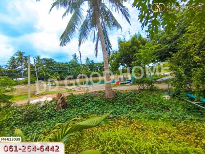 ที่ดิน นครชัยศรี 8 ไร่ 104 ตร.ว. นครปฐม ใกล้วัดศีรษะทอง.