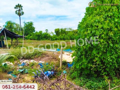 ที่ดิน นครชัยศรี 8 ไร่ 104 ตร.ว. นครปฐม ใกล้วัดศีรษะทอง.