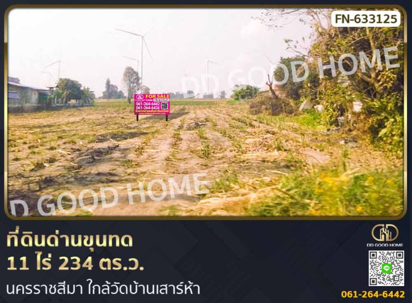 ที่ดินด่านขุนทด 11 ไร่ 234 ตร.ว. นครราชสีมา ใกล้วัดบ้านเสาร์ห้า-1