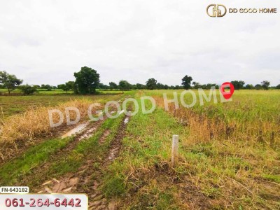 ที่ดิน ชัยบาดาล 5 ไร่ 313.2 ตร.ว. ลพบุรี-2