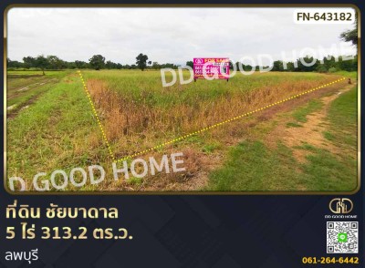 ที่ดิน ชัยบาดาล 5 ไร่ 313.2 ตร.ว. ลพบุรี-1