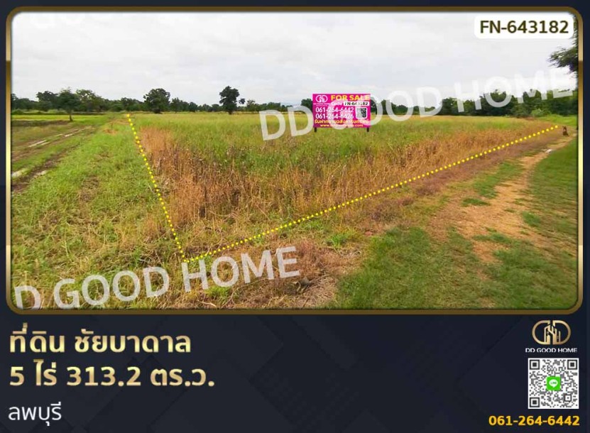 ที่ดิน ชัยบาดาล 5 ไร่ 313.2 ตร.ว. ลพบุรี-1