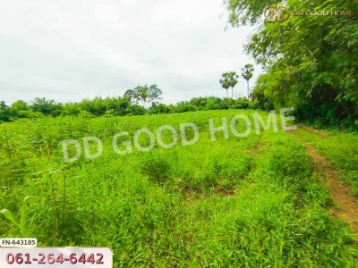 ที่ดิน ติดแม่น้ำป่าสัก ชัยบาดาล 6 ไร่ 41 ตร.ว. ลพบุรี