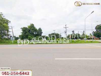 ที่ดิน สี่แยกบัวชุม ชัยบาดาล 361 ตร.ว. ลพบุรี-2