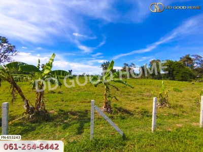 ที่ดิน เมืองนครราชสีมา 9 ไร่ 321 ตร.ว. ใกล้สถานีรถไฟบ้านหนองกันงา-2