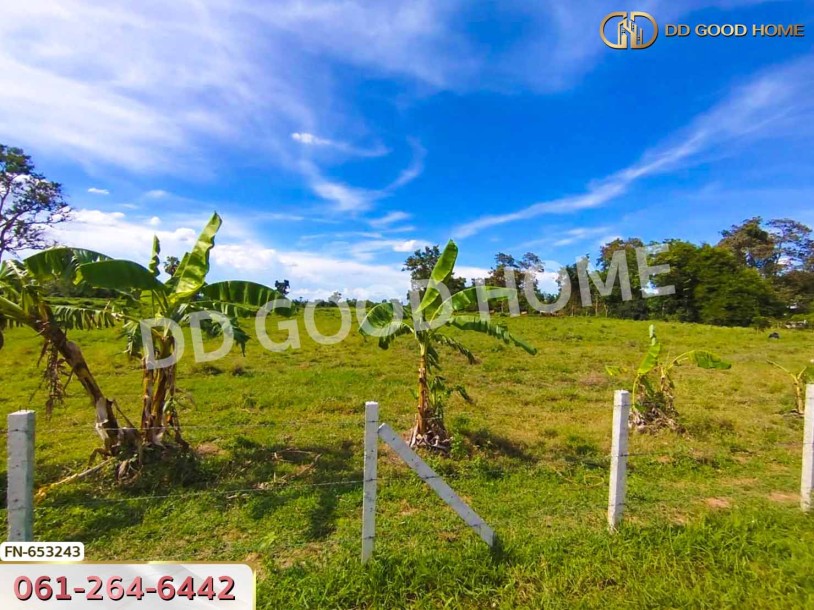 ที่ดิน เมืองนครราชสีมา 9 ไร่ 321 ตร.ว. ใกล้สถานีรถไฟบ้านหนองกันงา-2