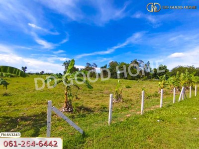 ที่ดิน เมืองนครราชสีมา 9 ไร่ 321 ตร.ว. ใกล้สถานีรถไฟบ้านหนองกันงา-3