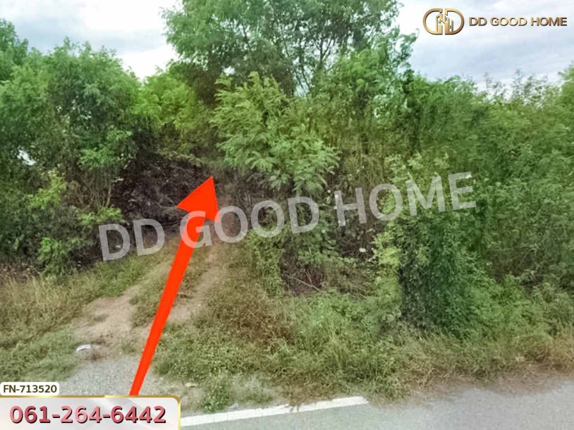 ที่ดินบางเลน 3 ไร่ 232 ตร.ว. นครปฐม ใกล้วัดใหม่อู่ทอง-5
