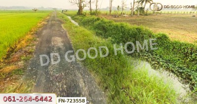 ที่ดินแม่แตง 1 ไร่ 270 ตร.ว. เชียงใหม่ ใกล้คาเฟ่เครื่องบิน-7