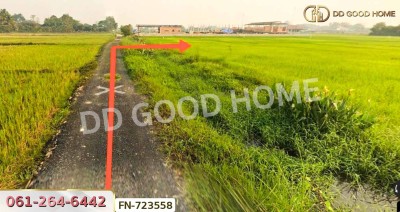 ที่ดินแม่แตง 1 ไร่ 270 ตร.ว. เชียงใหม่ ใกล้คาเฟ่เครื่องบิน-4