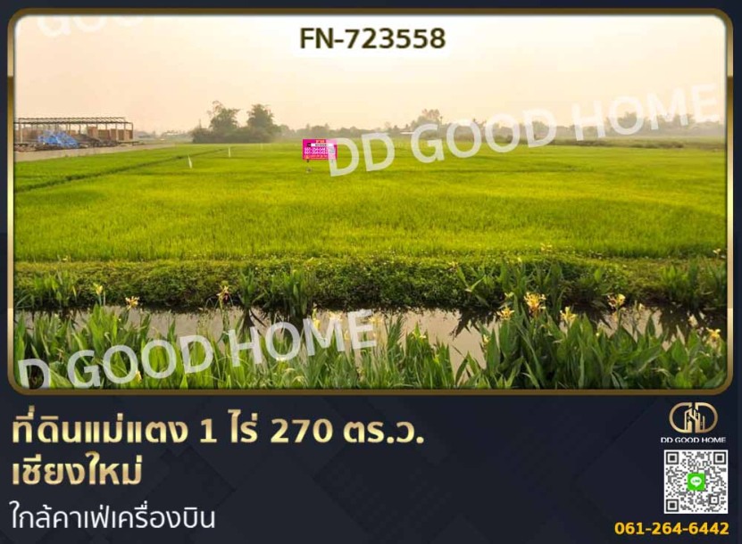 ที่ดินแม่แตง 1 ไร่ 270 ตร.ว. เชียงใหม่ ใกล้คาเฟ่เครื่องบิน-1
