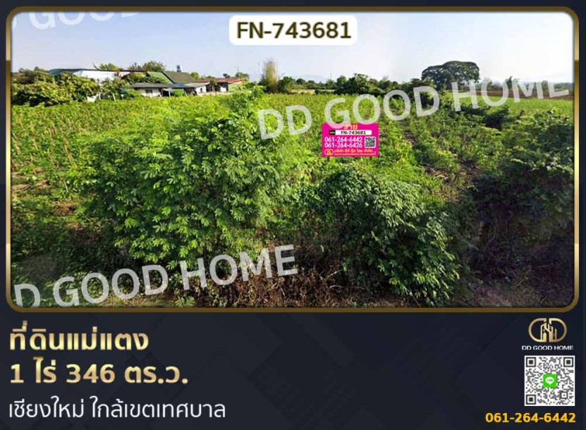 ที่ดินแม่แตง 1 ไร่ 346 ตร.ว. เชียงใหม่ ใกล้เขตเทศบาล-1