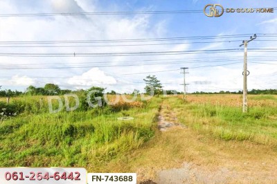 ที่ดินปักธงชัย 58 ไร่ 124 ตร.ว. ติดถนนปักธงชัย-เดชอุดม นครราชสีมา ใกล้ทางแยกต่างระดับปักธงชัย
