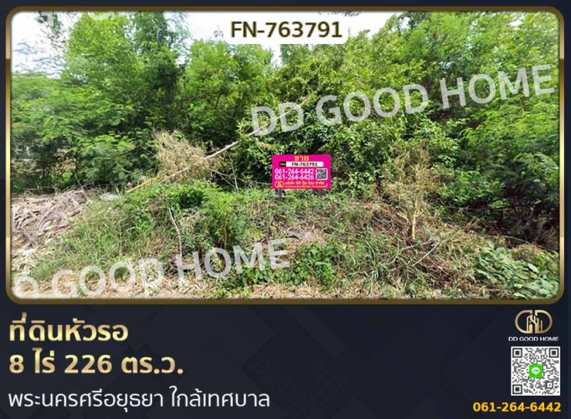 ที่ดินหัวรอ 8 ไร่ 226 ตร.ว. พระนครศรีอยุธยา ใกล้เทศบาล-1