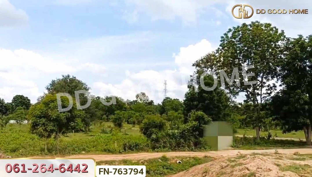 ที่ดินสีคิ้ว 3 ไร่ 78.1 ตร.ว. นครราชสีมา ใกล้ สถานีอนามัยหนองจอก.-6