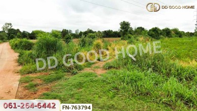 ที่ดินสีคิ้ว 3 ไร่ 78.1 ตร.ว. นครราชสีมา ใกล้ สถานีอนามัยหนองจอก.-5