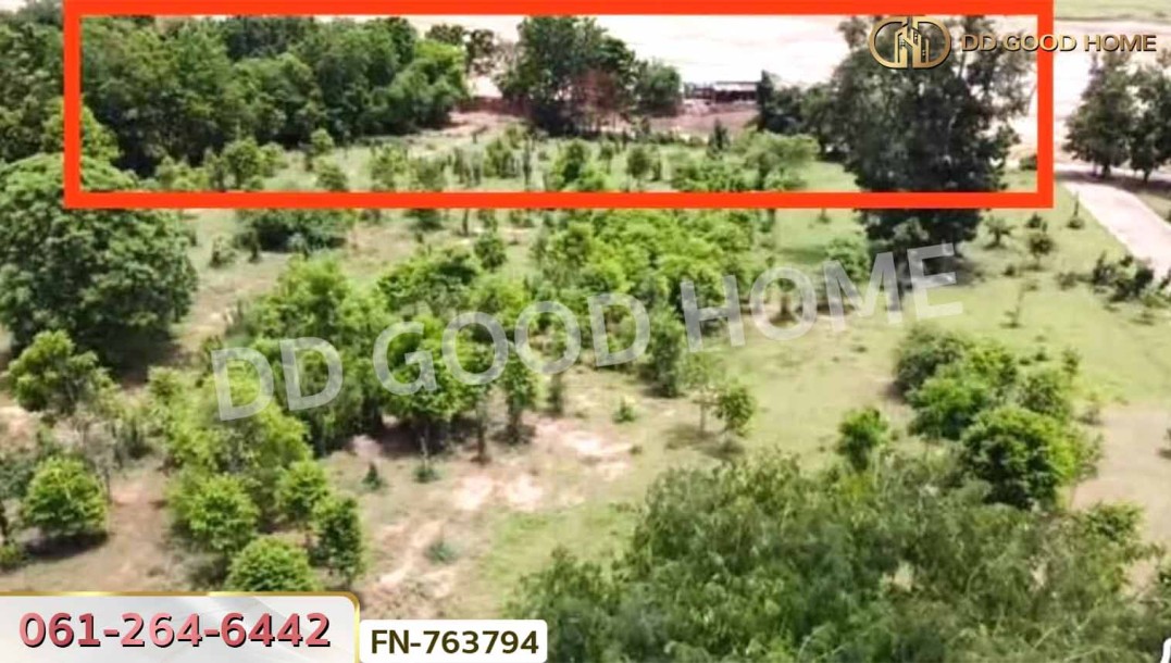 ที่ดินสีคิ้ว 3 ไร่ 78.1 ตร.ว. นครราชสีมา ใกล้ สถานีอนามัยหนองจอก.-3