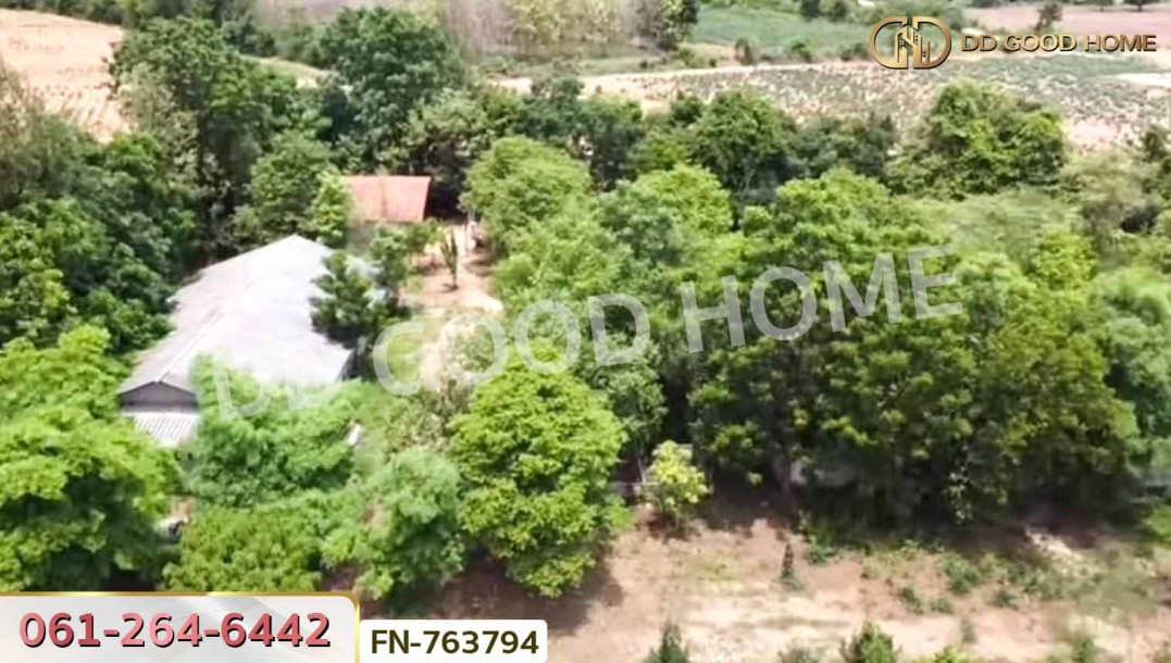 ที่ดินสีคิ้ว 3 ไร่ 78.1 ตร.ว. นครราชสีมา ใกล้ สถานีอนามัยหนองจอก.-2