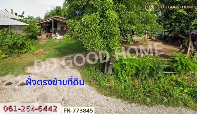 ที่ดินเมืองพิษณุโลก 3 ไร่ 183.6 ตร.ว. ใกล้ อบต.วังน้ำคู้-4