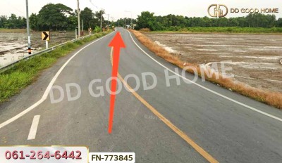 ที่ดินเมืองพิษณุโลก 3 ไร่ 183.6 ตร.ว. ใกล้ อบต.วังน้ำคู้-2