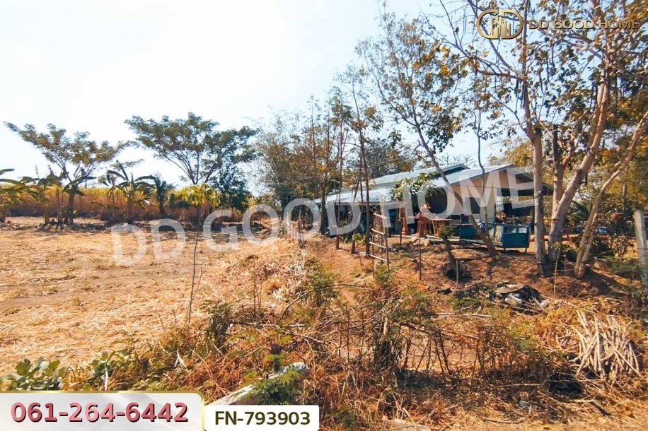 ที่ดินพร้อมบ้านเดี่ยวชัยบาดาล 2 ไร่ 77 ตร.ว. ลพบุรี ใกล้วัดพุ่มเพชรวนาราม-6