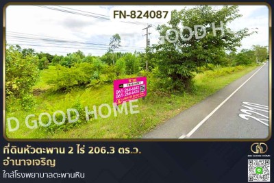 ที่ดินหัวตะพาน 2 ไร่ 206.3 ตร.ว. อำนาจเจริญ ใกล้โรงพยาบาลตะพานหิน-1
