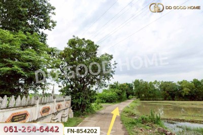 ที่ดินบ้านยาง 30 ไร่ 157 ตร.ว. บุรีรัมย์ ใกล้สวนน้ำเพลย์พาร์ค-4