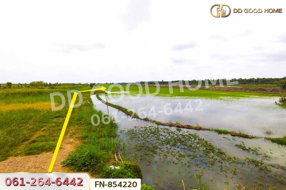ที่ดินลำลูกกาคลอง 11 ปทุมธานี 4 ไร่ 237.3 ตร.ว. ใกล้สนามกอล์ฟลำลูกกาคันทรีคลับ-7