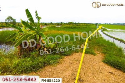 ที่ดินลำลูกกาคลอง 11 ปทุมธานี 4 ไร่ 237.3 ตร.ว. ใกล้สนามกอล์ฟลำลูกกาคันทรีคลับ-6