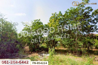 ที่ดินหมู่บ้านพุทธมณฑลแลนด์ ศาลายา 86 ตร.ว. นครปฐม ใกล้เซ็นทรัลนครปฐม.-5