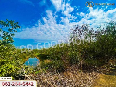 ที่ดิน อ.บางเลน 1 ไร่ 12 ตร.ว. นครปฐม